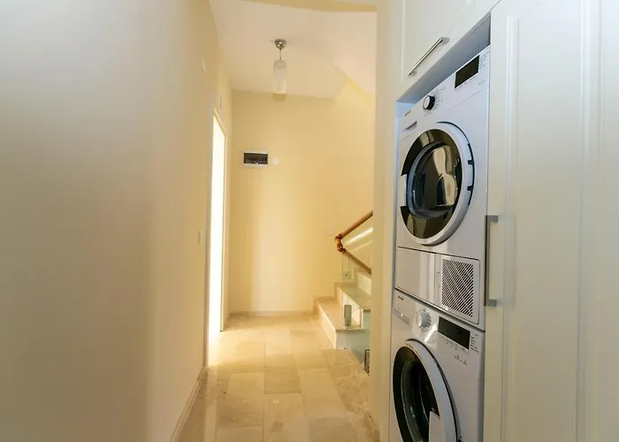 Paradise Town Estella