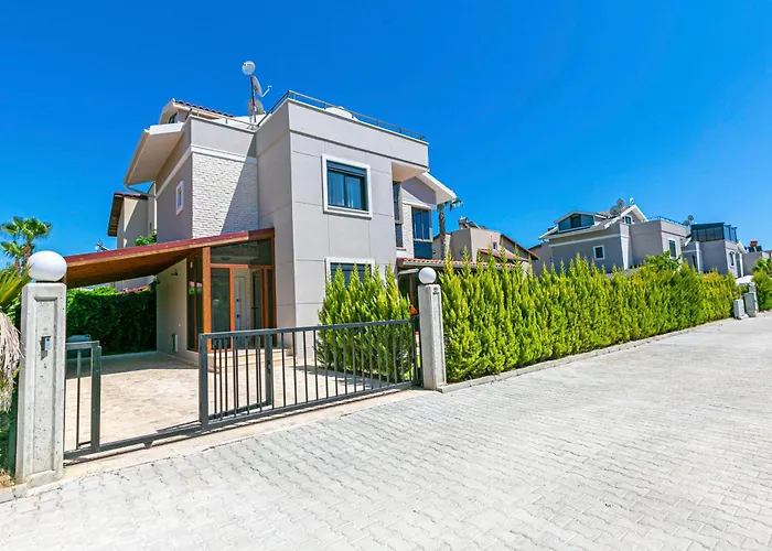 Paradise Town Estella Vila